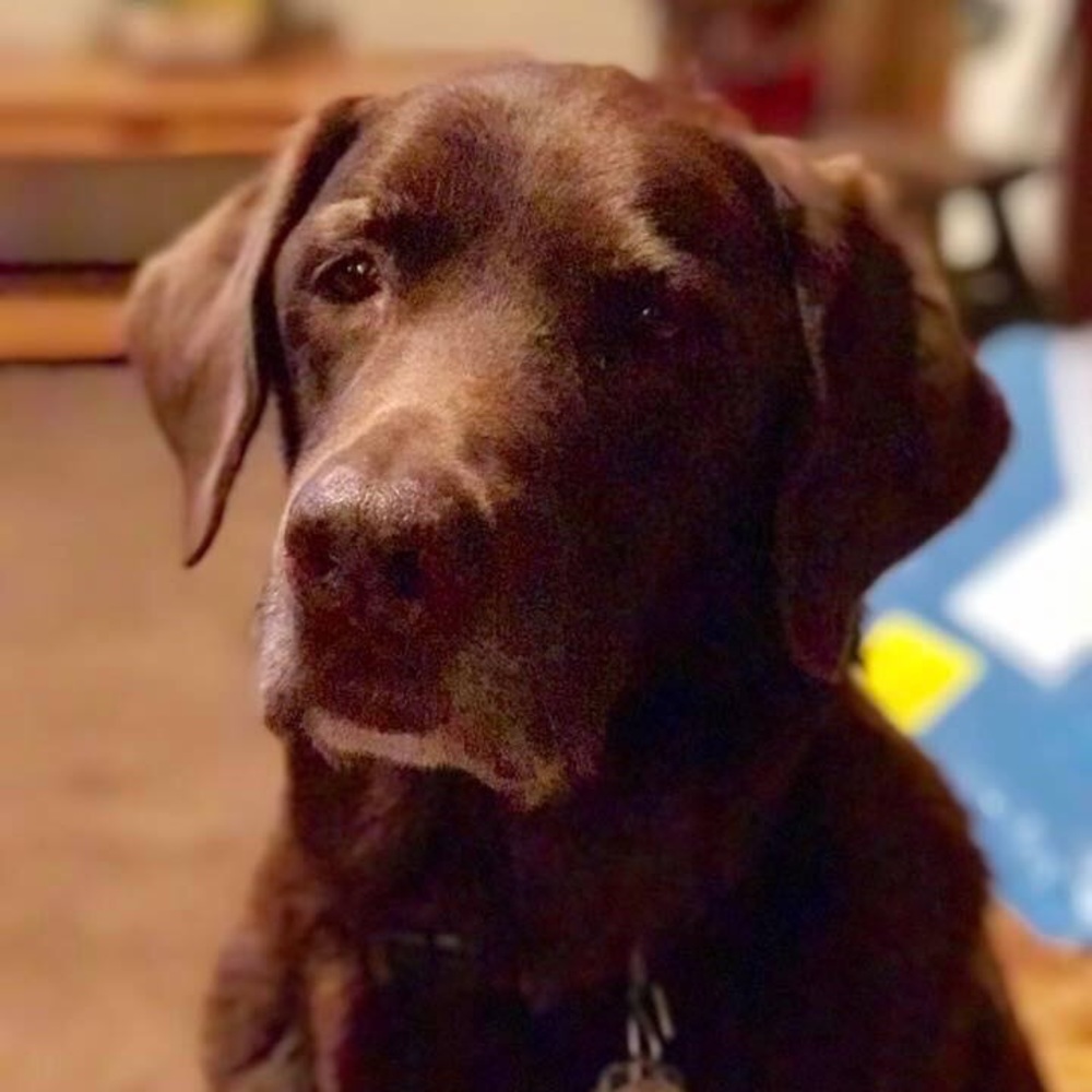 Meet your Posher, Theresa